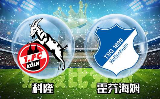 霍芬海姆主场战平，难追欧战区域位置的简单介绍