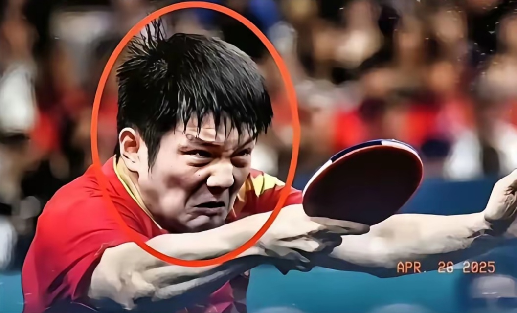 波兰队翻盘中国队，樊振东高光表现