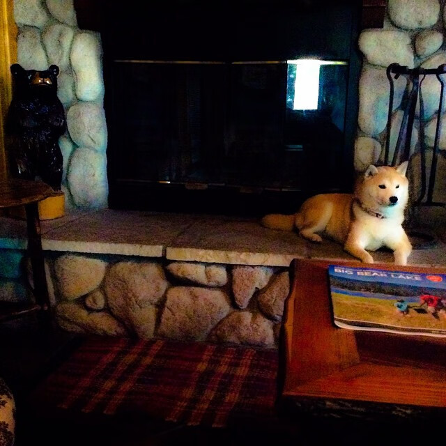 黑白直播体育-北方极光刺破红色幕布，芬兰心脏拉亚，如何成为曼联收割者