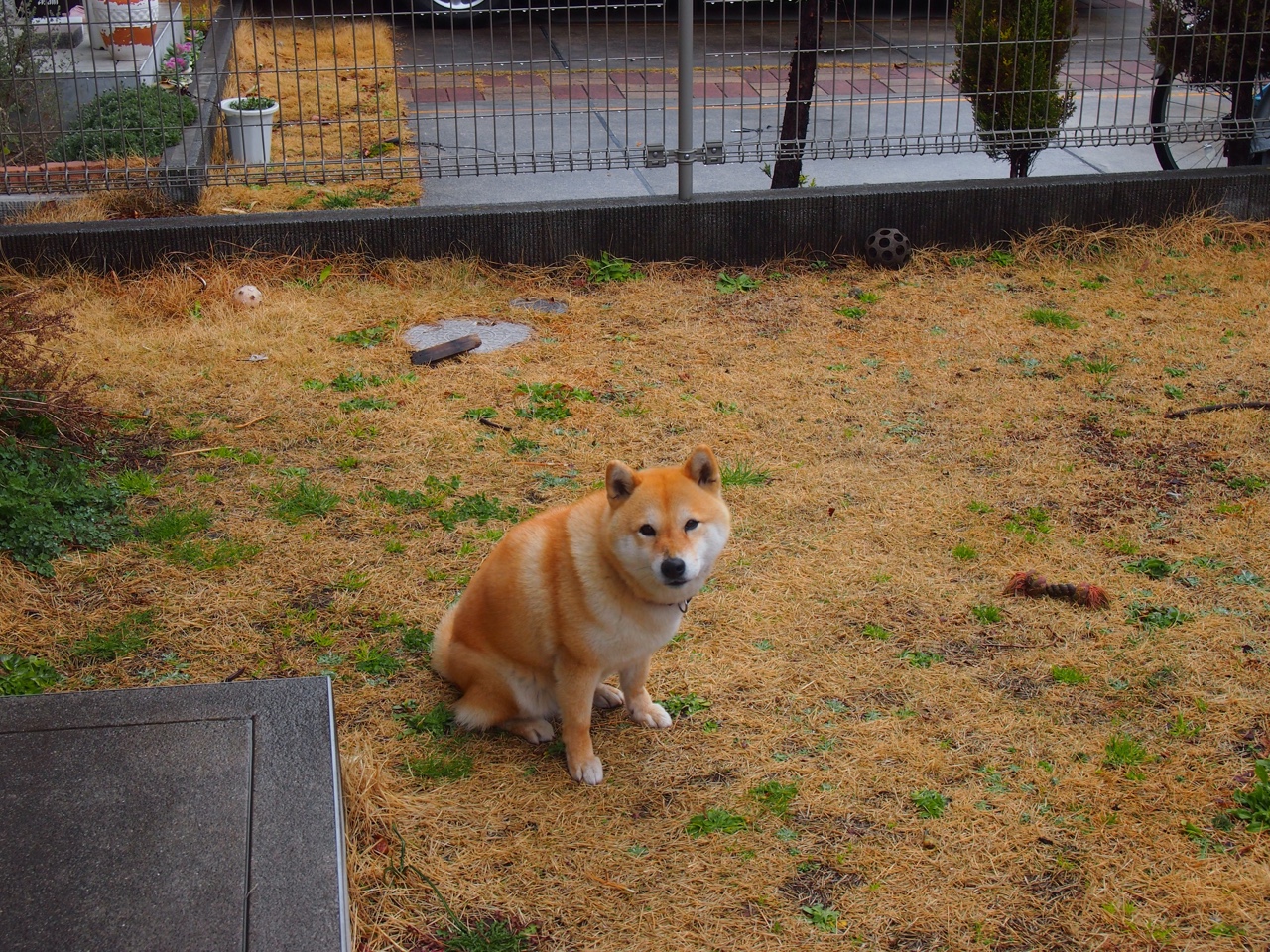 绝地反击！切特完成自我救赎，老鹰主场完胜热火