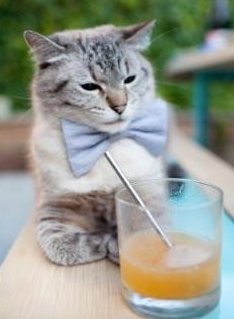 黑白直播网-山西队断崖式坍塌广东，福克斯全能数据引领团队制胜！