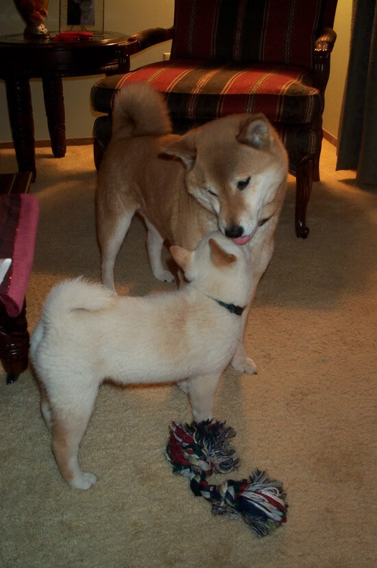 三叉戟碾压欧文39分救主，奥运前夜的冰火启示录