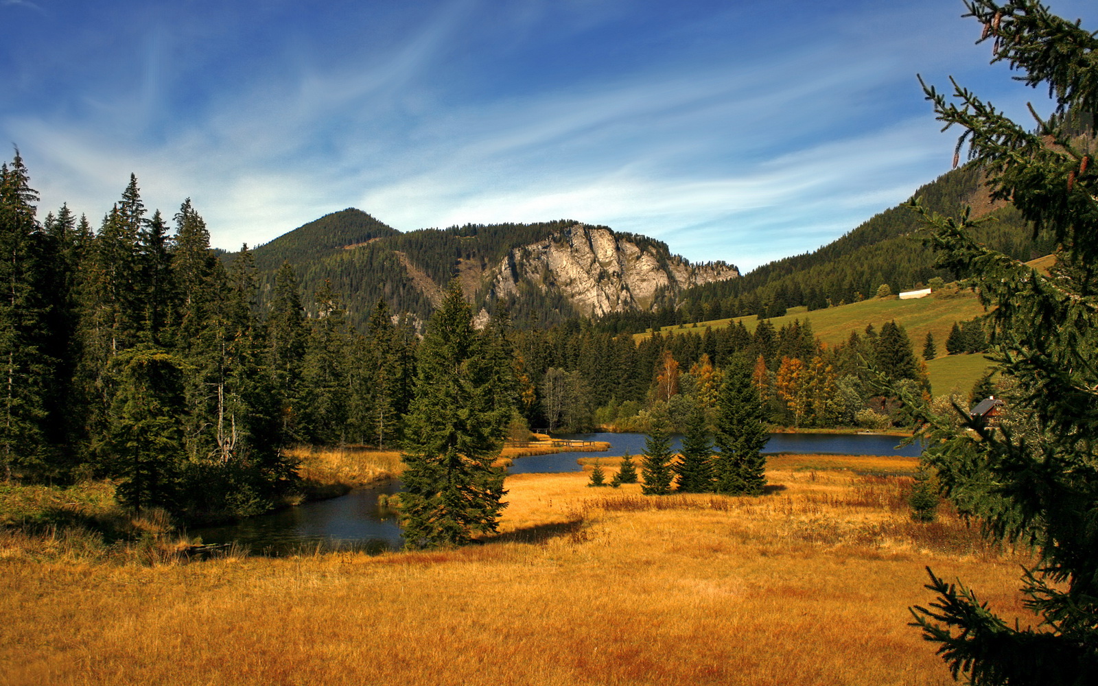 铁幕降下,他推开世界之门,2026世界杯之夜,弗拉霍维奇的统治性叙事