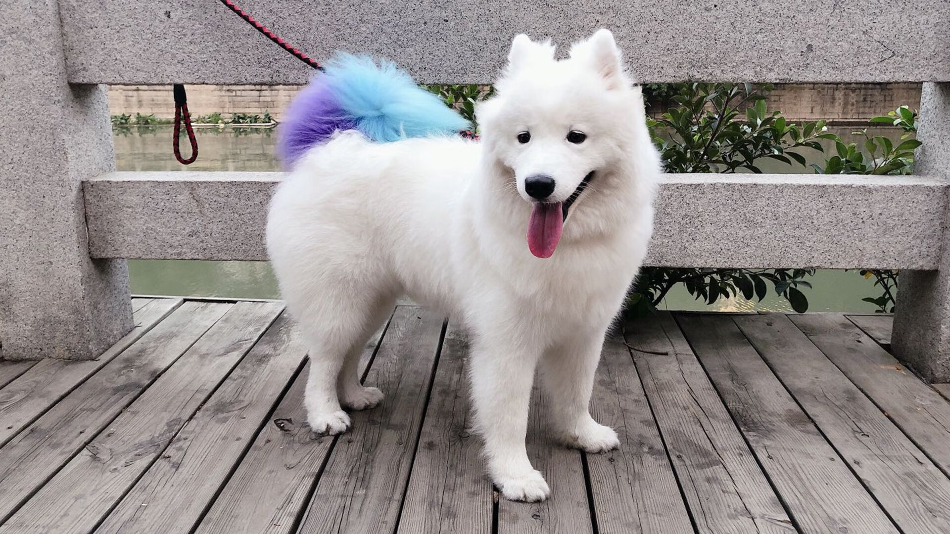 黑白直播在线观看-武切维奇狂飙30+暴雨激战，上海队巅峰对决险胜山西