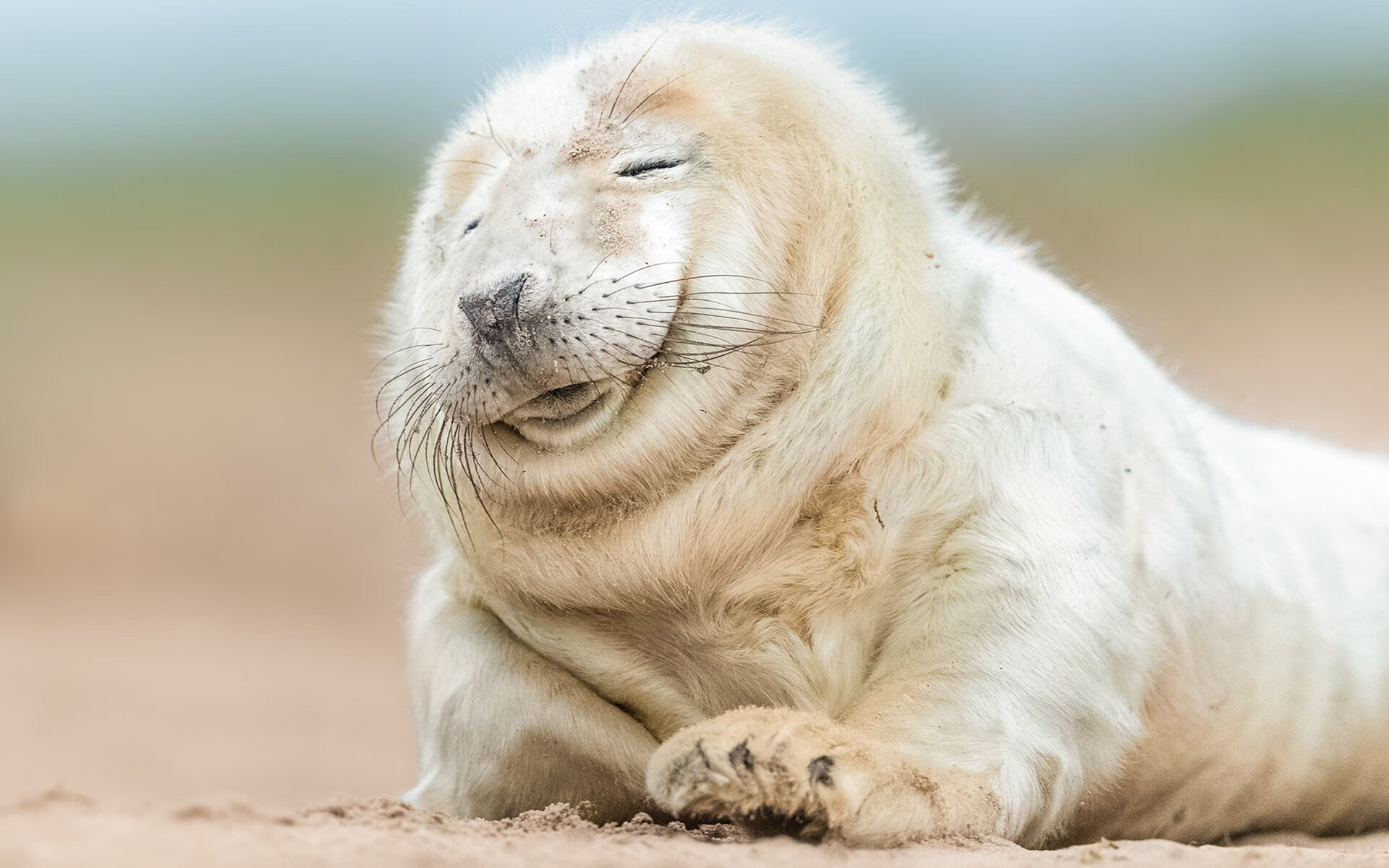 西甲国家德比之夜,卡瓦哈尔,定义大场面的隐形支柱