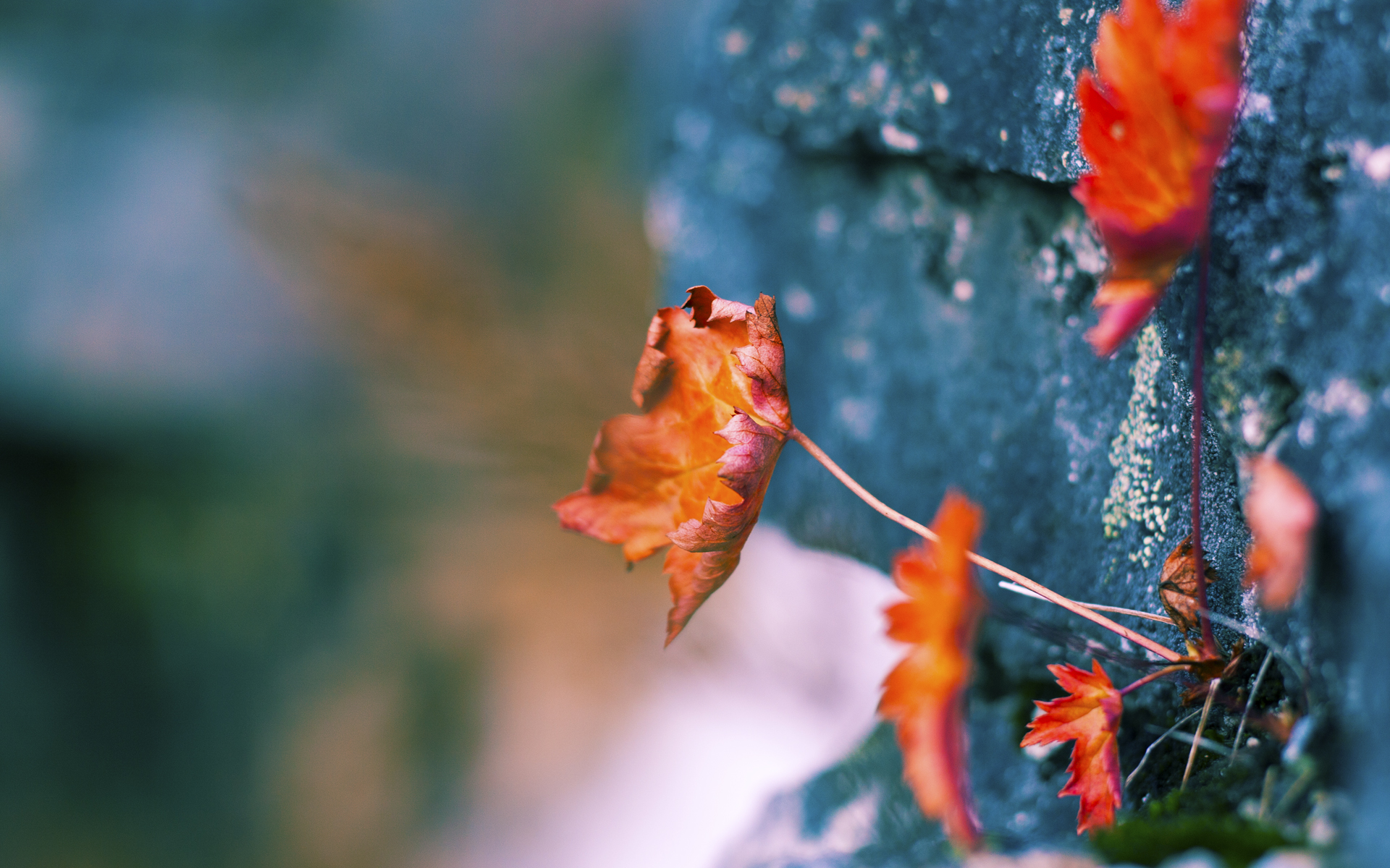 欧冠半决赛之夜，黄喜灿书写亚洲新纪元