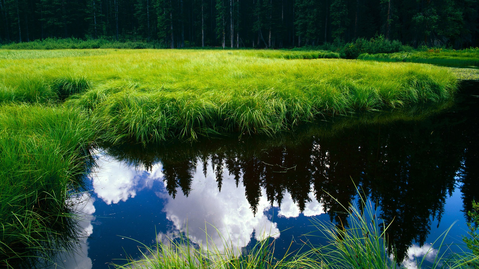 冷门夜的星光,当几内亚撼动里昂,C罗在远方定义伟大