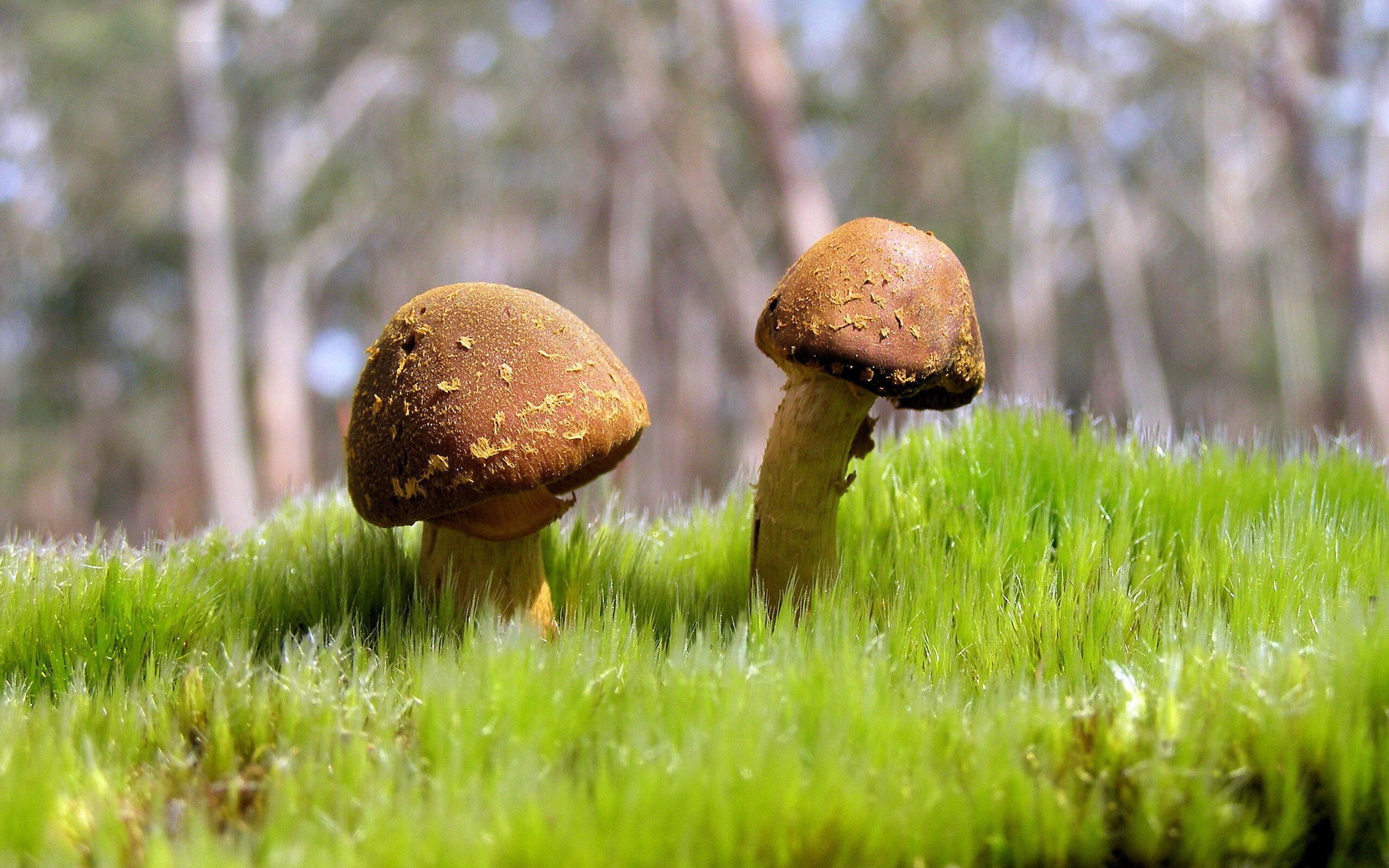 掀翻铁壁,接管时代,当个体能量掀翻传统体系巨塔